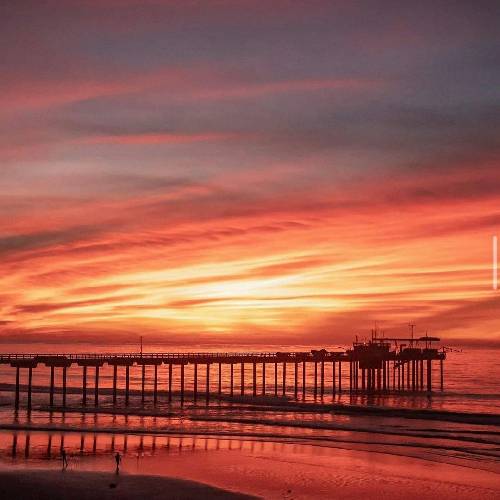 علی آسیایی تو راه و رسم عاشقی شکسته بالم